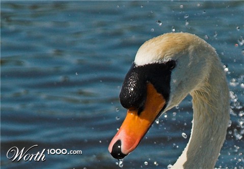 Photography by Johnny5