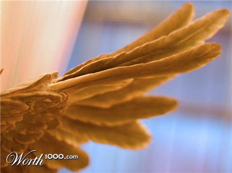 Photography by advance2