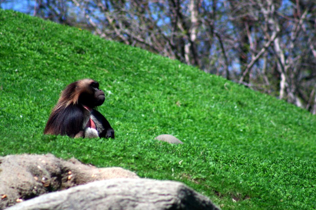 Photography by advance2 for DesignCrowd (Community Contests) | Design #9089541