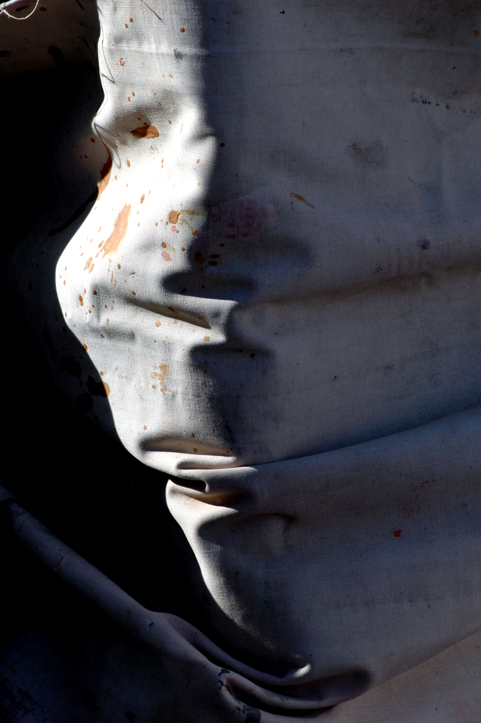 Photographie par Ronbrandt pour DesignCrowd (Community Contests) | Design #9090379