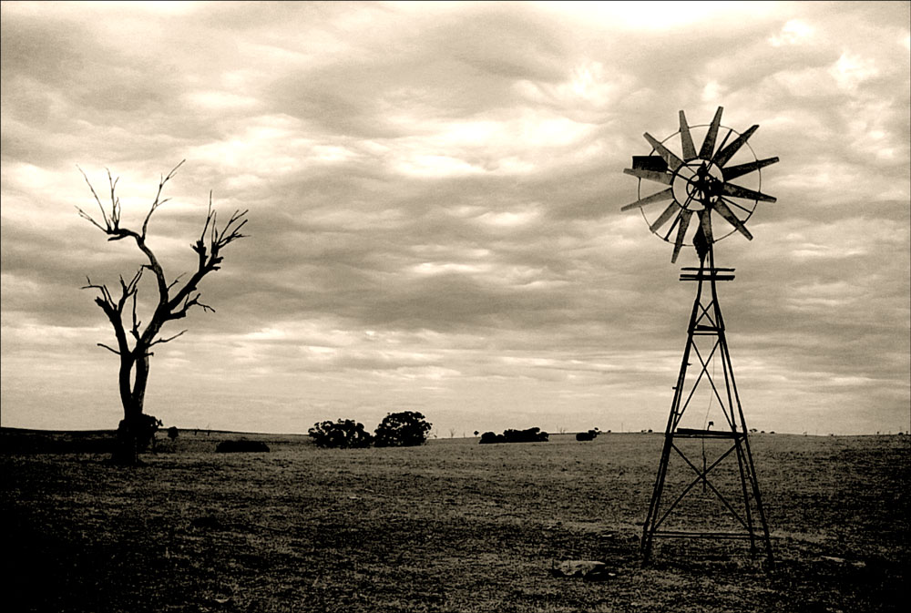 Photography by Budmulla for DesignCrowd (Community Contests) | Design #9089420