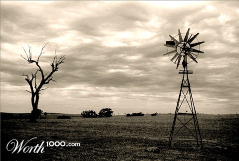 Photography by Budmulla