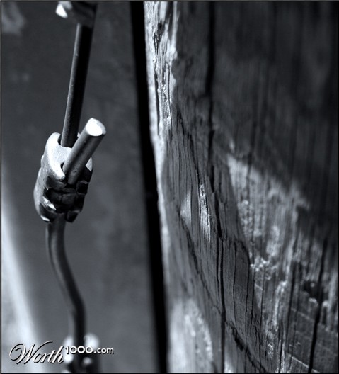 Photography by Phoenix120689