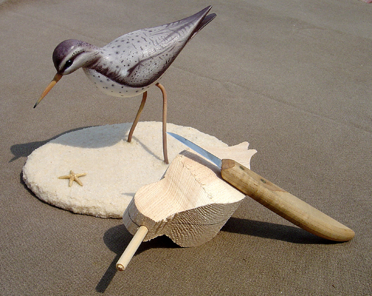 Photography by mermaidUSA for DesignCrowd (Community Contests) | Design #9085538