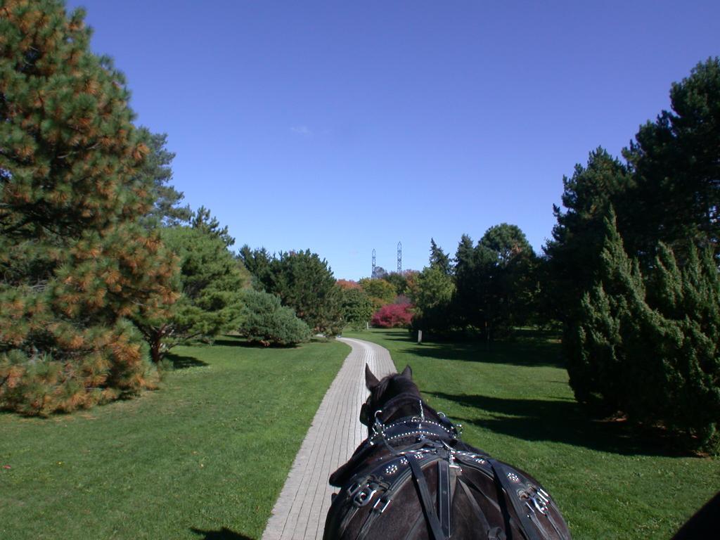 Fotografie von ka9dgx für DesignCrowd (Community Contests) | Design #9089573