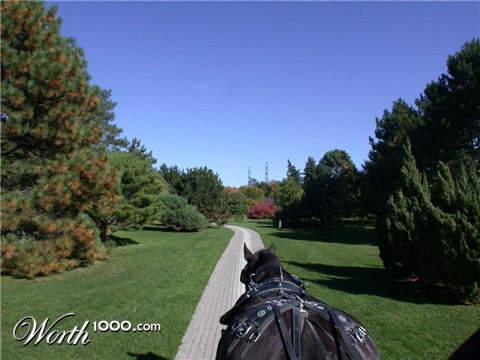 Photography by ka9dgx