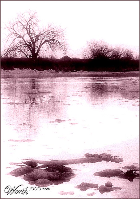 Photography by tiffini