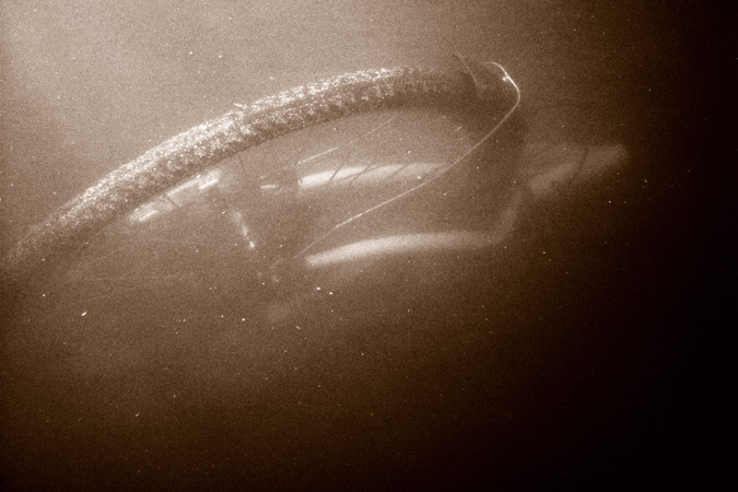 Photography by MrPumpernickel for DesignCrowd (Community Contests) | Design #9088597