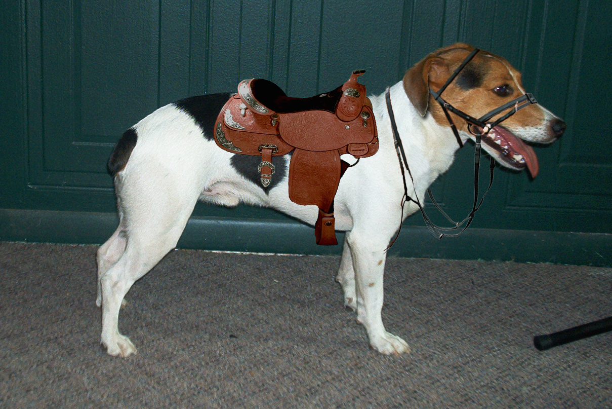 Photoshop-Design von dellville für DesignCrowd (Community Contests) | Design #9082350