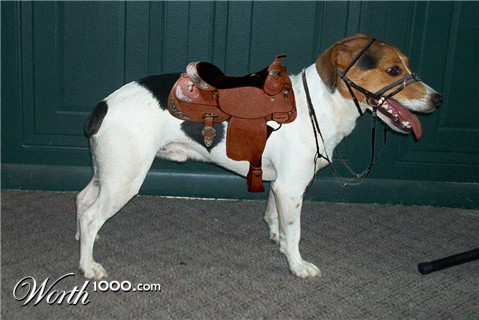 Photoshop Design by dellville