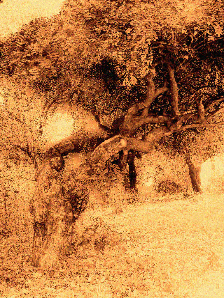 Fotografía por michellu para DesignCrowd (Community Contests) | Diseño #9088626