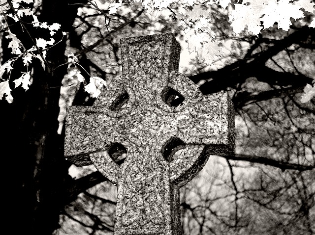 Photographie par KarenC pour DesignCrowd (Community Contests) | Design #9088602