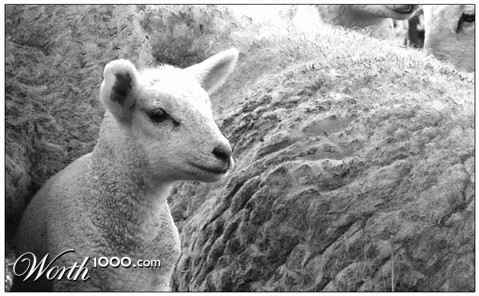 Photography by KChris