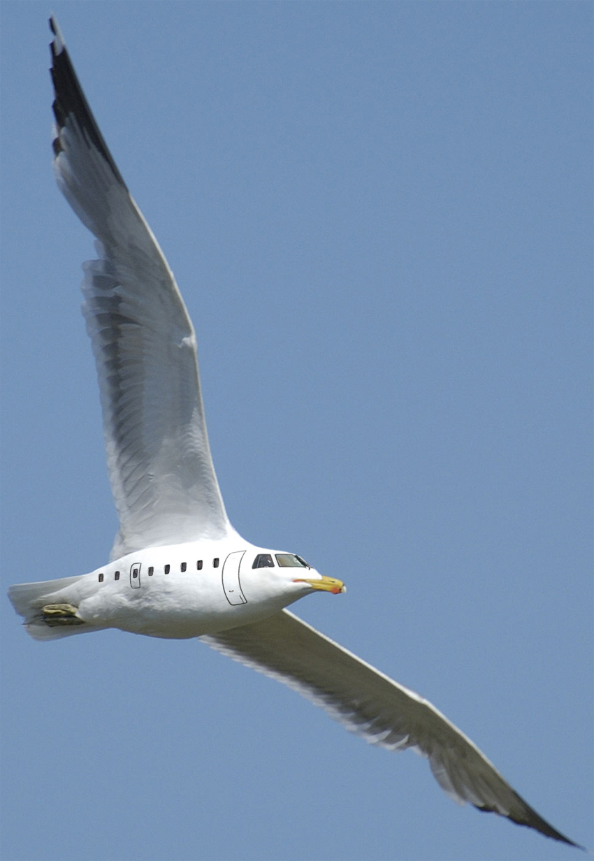 Photoshop Design by BillyHill for DesignCrowd (Community Contests) | Design #9082380