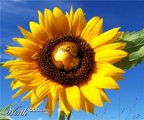 Photoshop Design by sherif1000