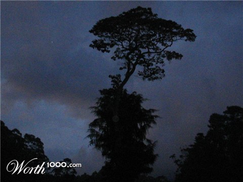 Photography by silverlining