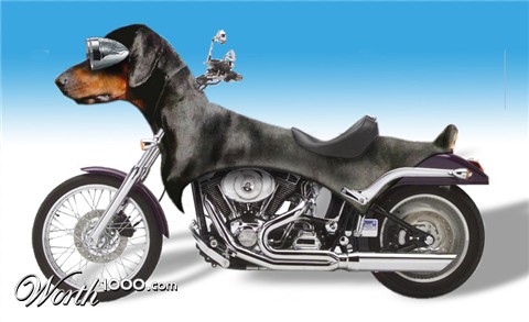 Photoshop Design by wagster