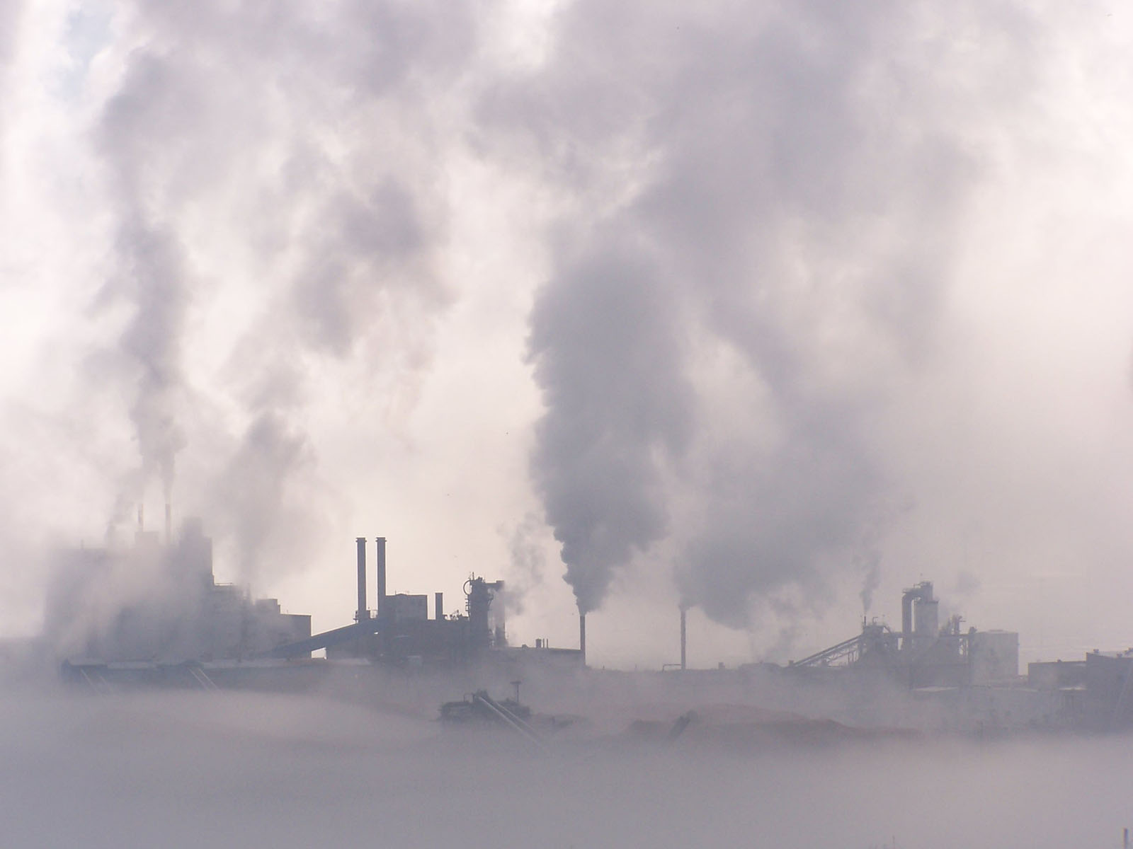 Fotografía por haraldh para DesignCrowd (Community Contests) | Diseño #9066731