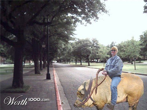 Photoshop Design by thundercatcher2003