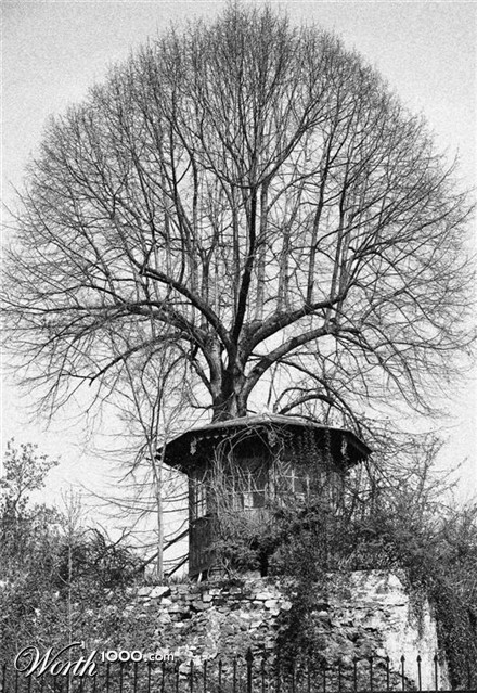 Photography by Chupakabra