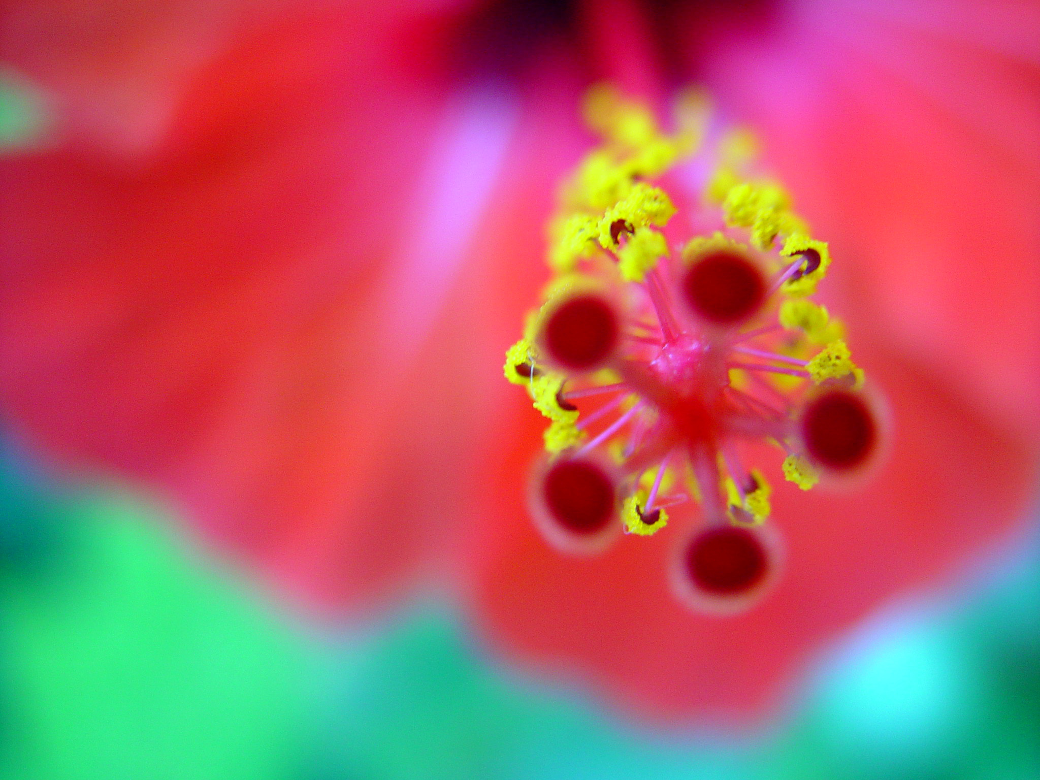 Photography by puzzzles for DesignCrowd (Community Contests) | Design #9066739