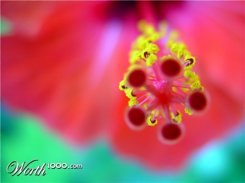 Photography by puzzzles