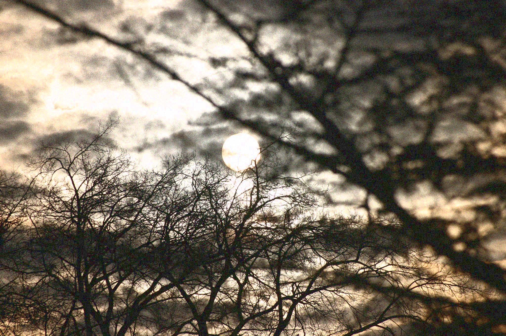 Photography by EmilBanck for DesignCrowd (Community Contests) | Design #9088753