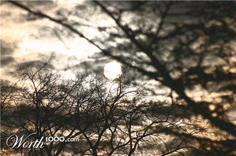 Photography by EmilBanck