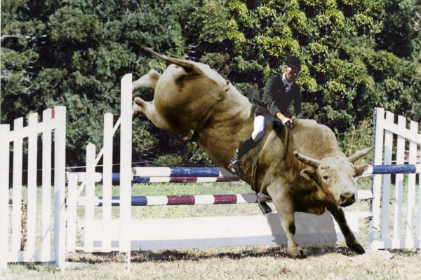 Photoshop Design by fowlball for DesignCrowd (Community Contests) | Design #9084640