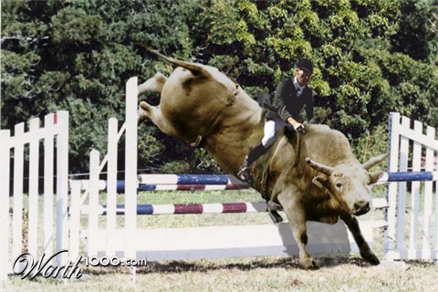 Photoshop Design by fowlball