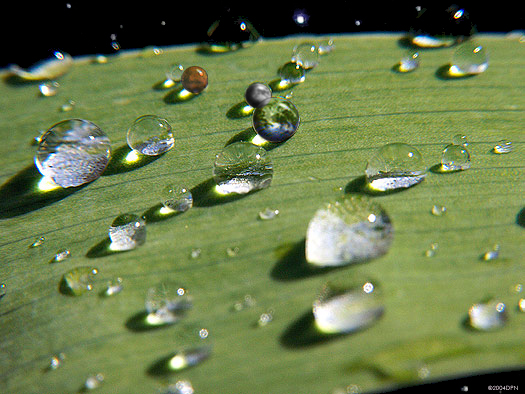 Design Photoshop par Gramlengo pour DesignCrowd (Community Contests) | Design #9069469