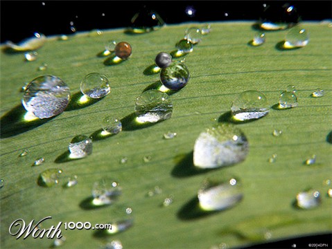 Photoshop Design by Gramlengo