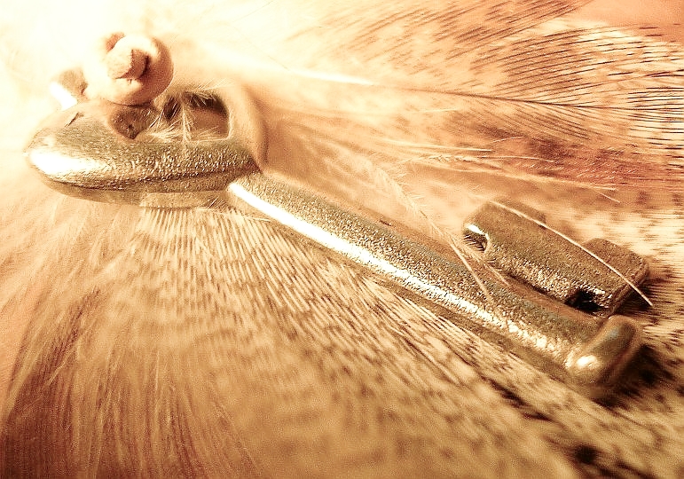 Photographie par Jethrolutt pour DesignCrowd (Community Contests) | Design #9066760