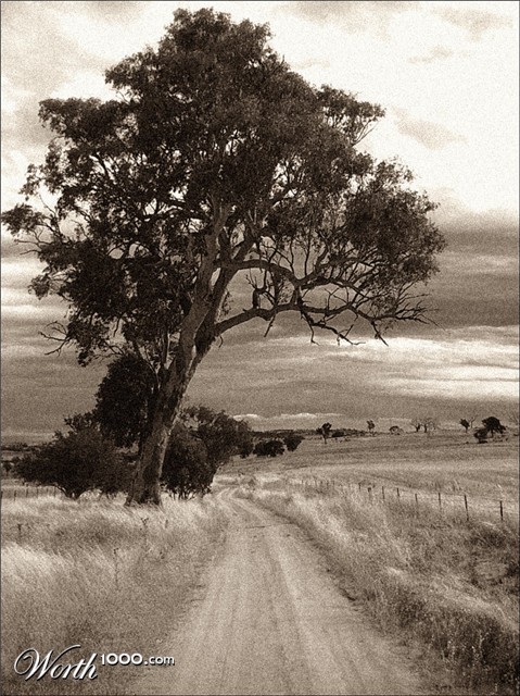 Photography by Budmulla