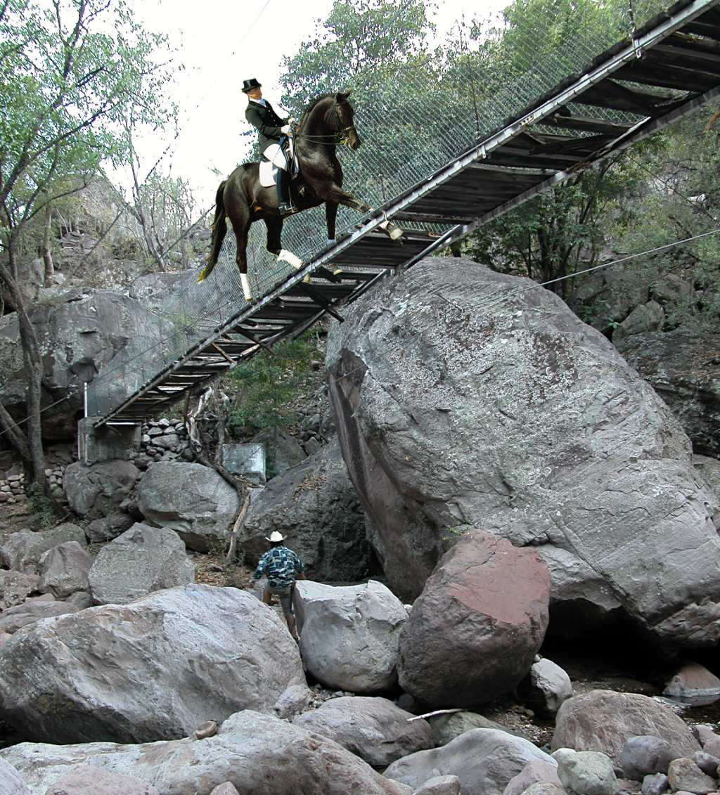 Photoshop Design by Djinny for DesignCrowd (Community Contests) | Design #9084763