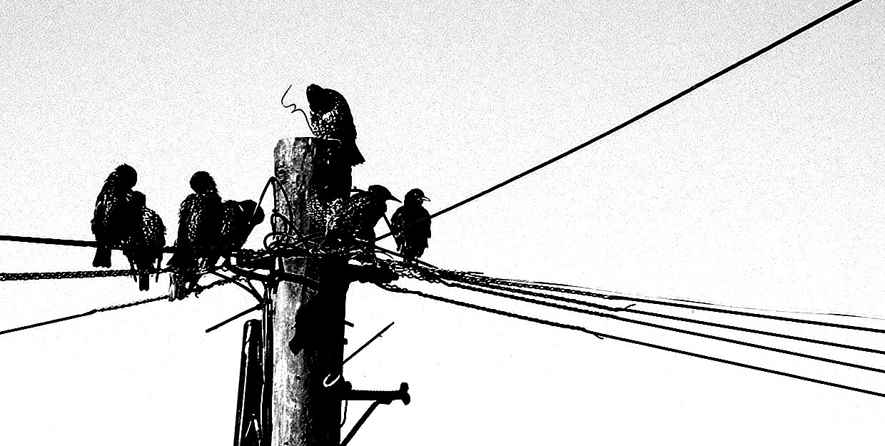 Fotografie von johnnymaxwell für DesignCrowd (Community Contests) | Design #9088690