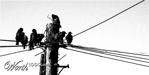 Photography by johnnymaxwell