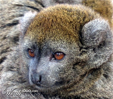 Photography by johnnymaxwell