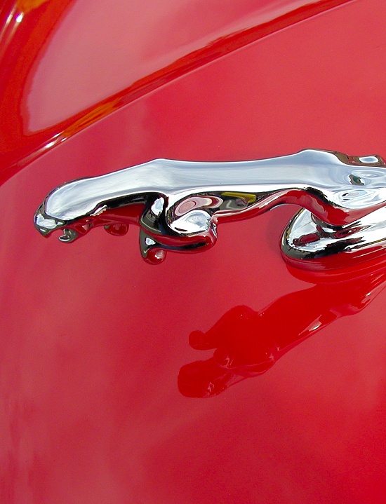 Photographie par KarenC pour DesignCrowd (Community Contests) | Design #9083137