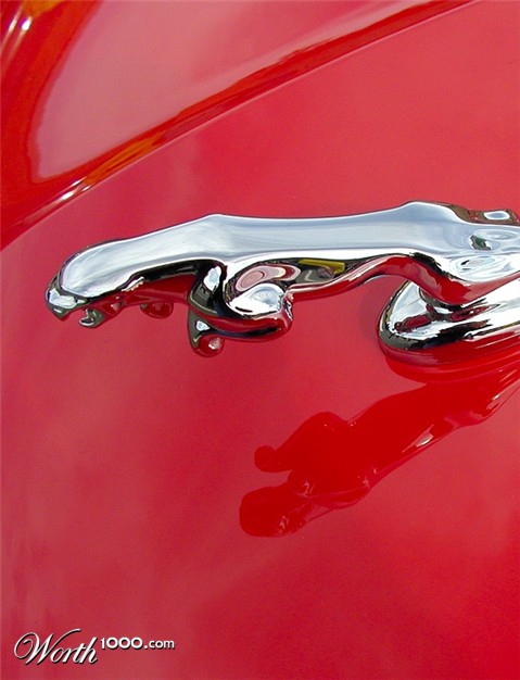 Photography by KarenC