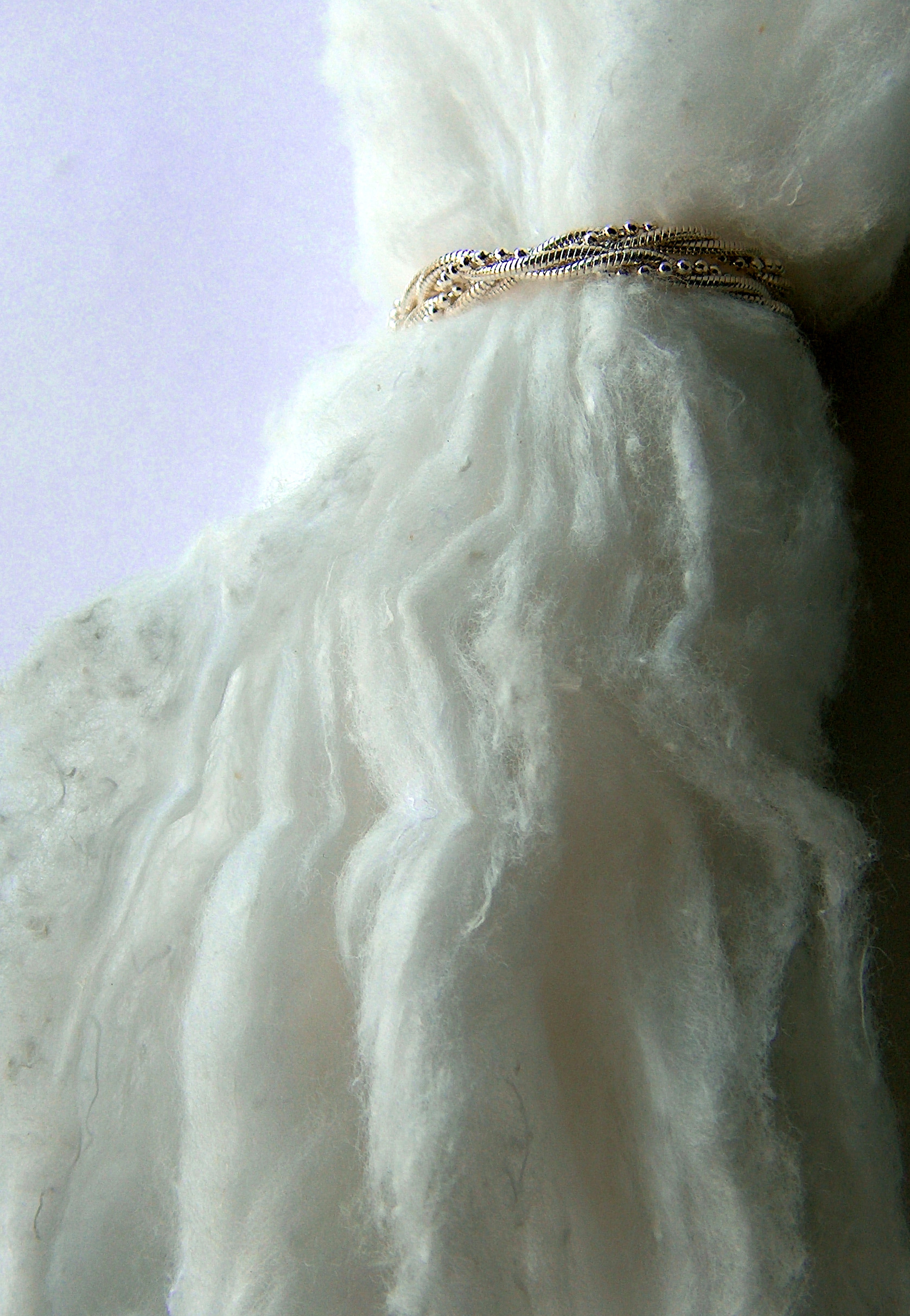 Photography by Xported for DesignCrowd (Community Contests) | Design #9066794