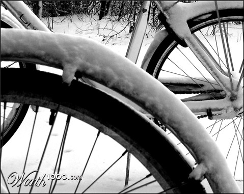 Photography by zensoul