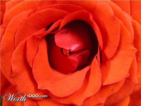 Photography by christelgrie