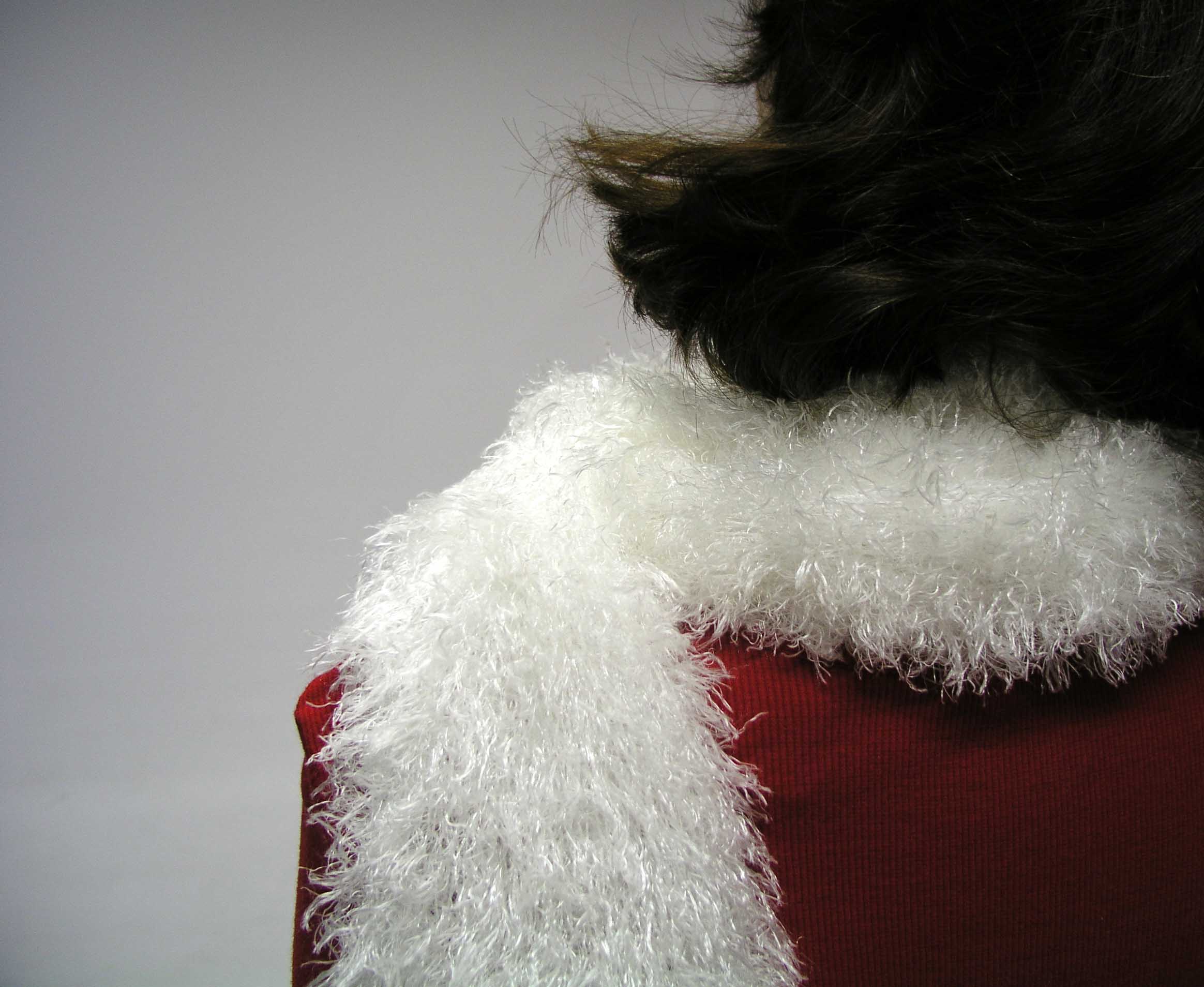 Photography by UPUPUP for DesignCrowd (Community Contests) | Design #9066773