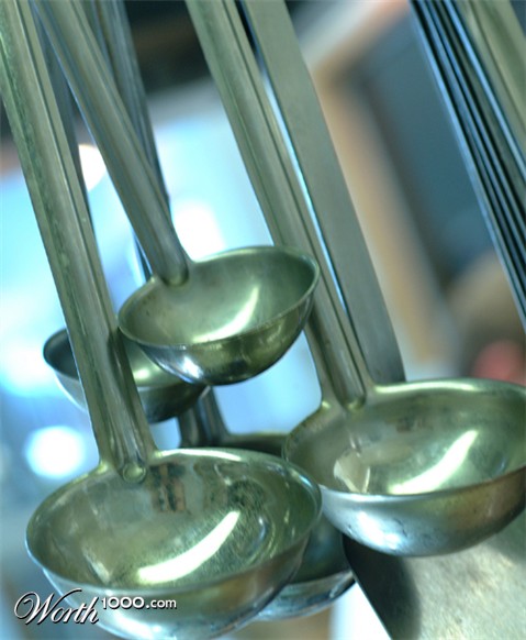 Photography by havelock