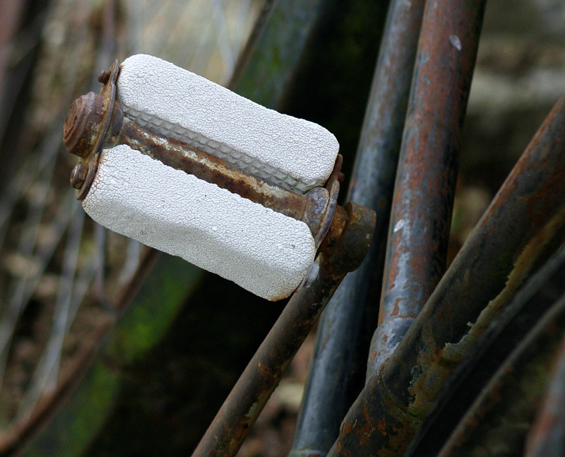 Fotografía por havelock para DesignCrowd (Community Contests) | Diseño #9088826