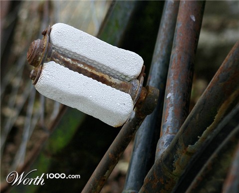 Photography by havelock