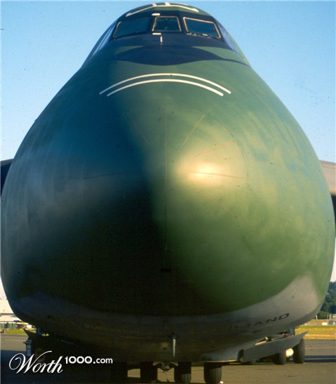 Photography by donzee