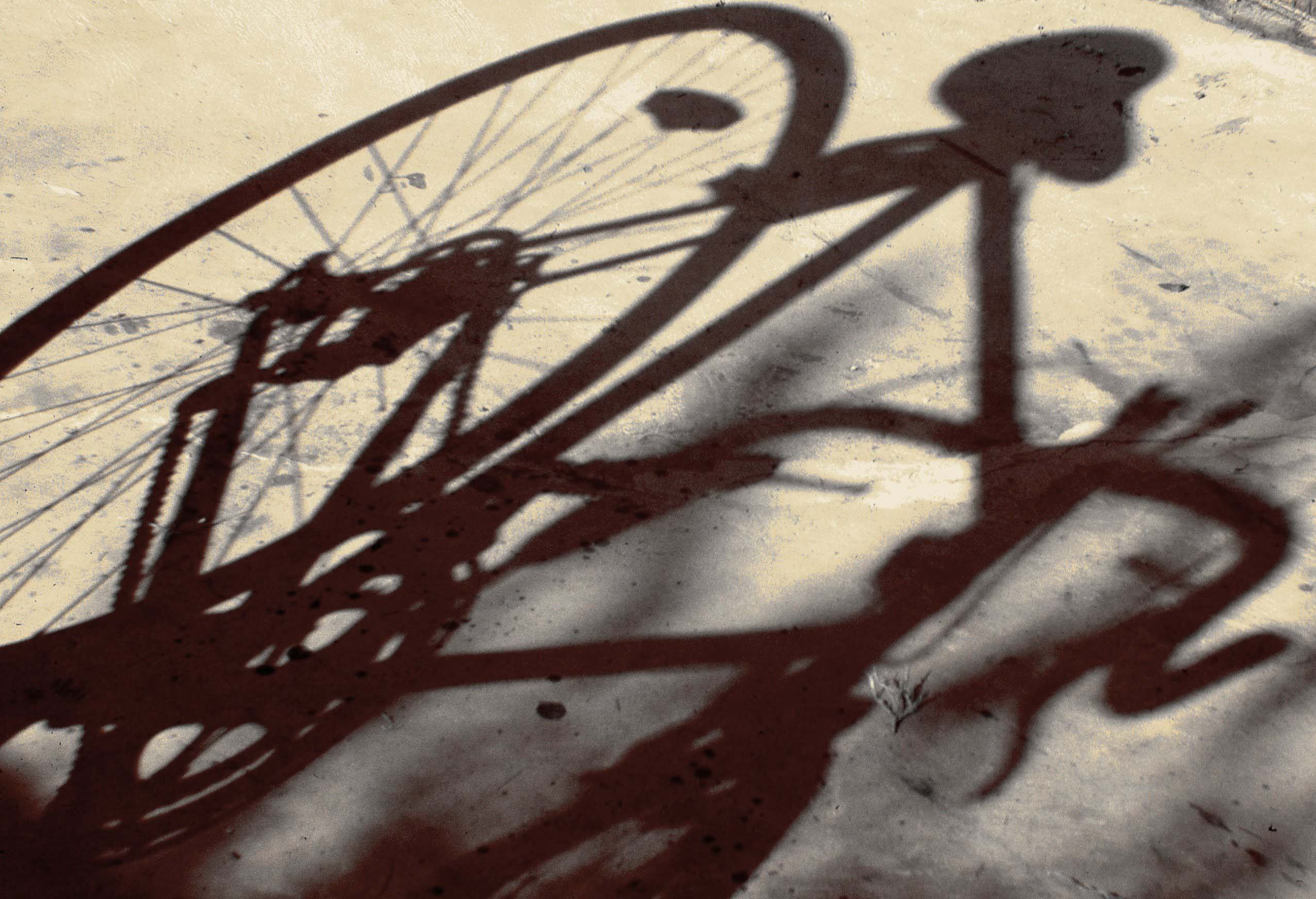 Photography by tigercrosse for DesignCrowd (Community Contests) | Design #9083195