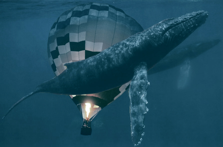 Photoshop-Design von GraafVanFoto für DesignCrowd (Community Contests) | Design #9079995